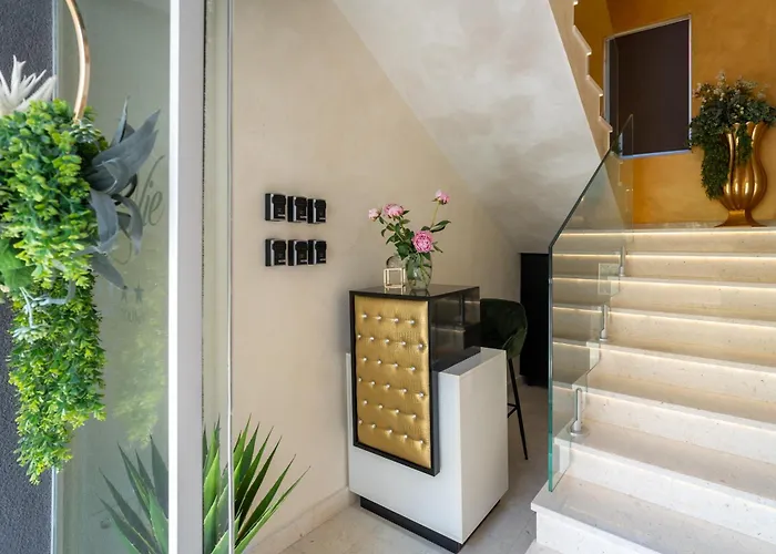 Πανσιόν Luxury Lavie Ζαντάρ